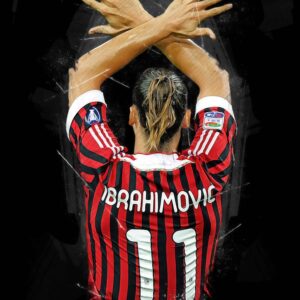 footballer Ibrahimovic